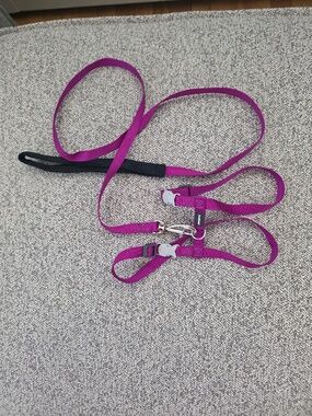 RedDingo Purple Cat Leash